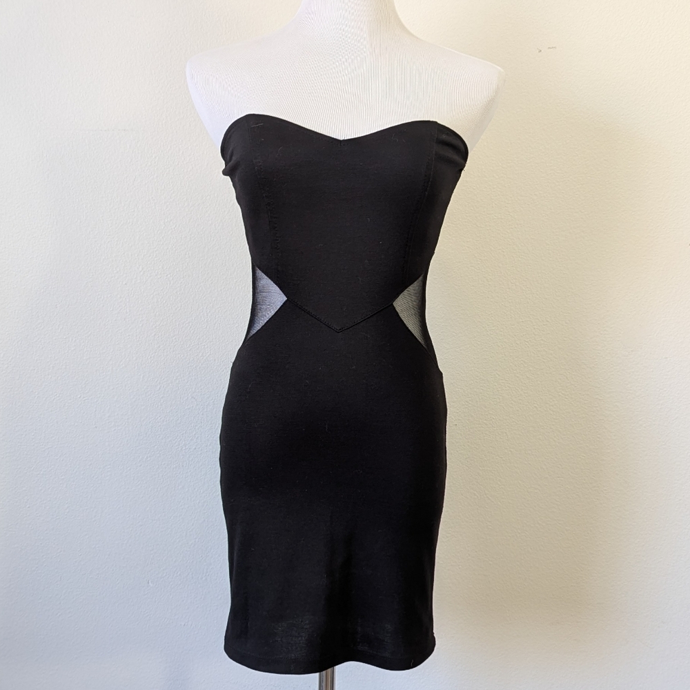 Bodycon Mesh Mini Dress